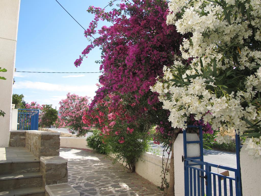 Angelina Apartment Parikia (Paros)
