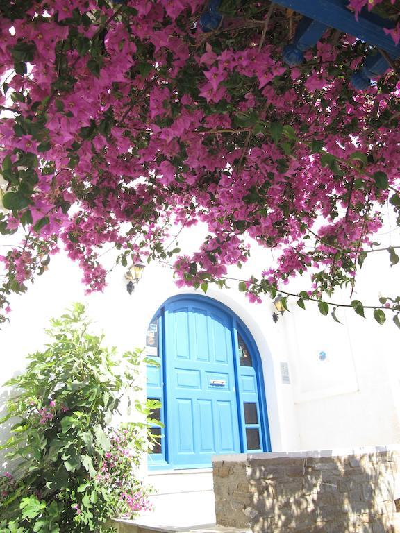 Angelina Parikia (Paros)
