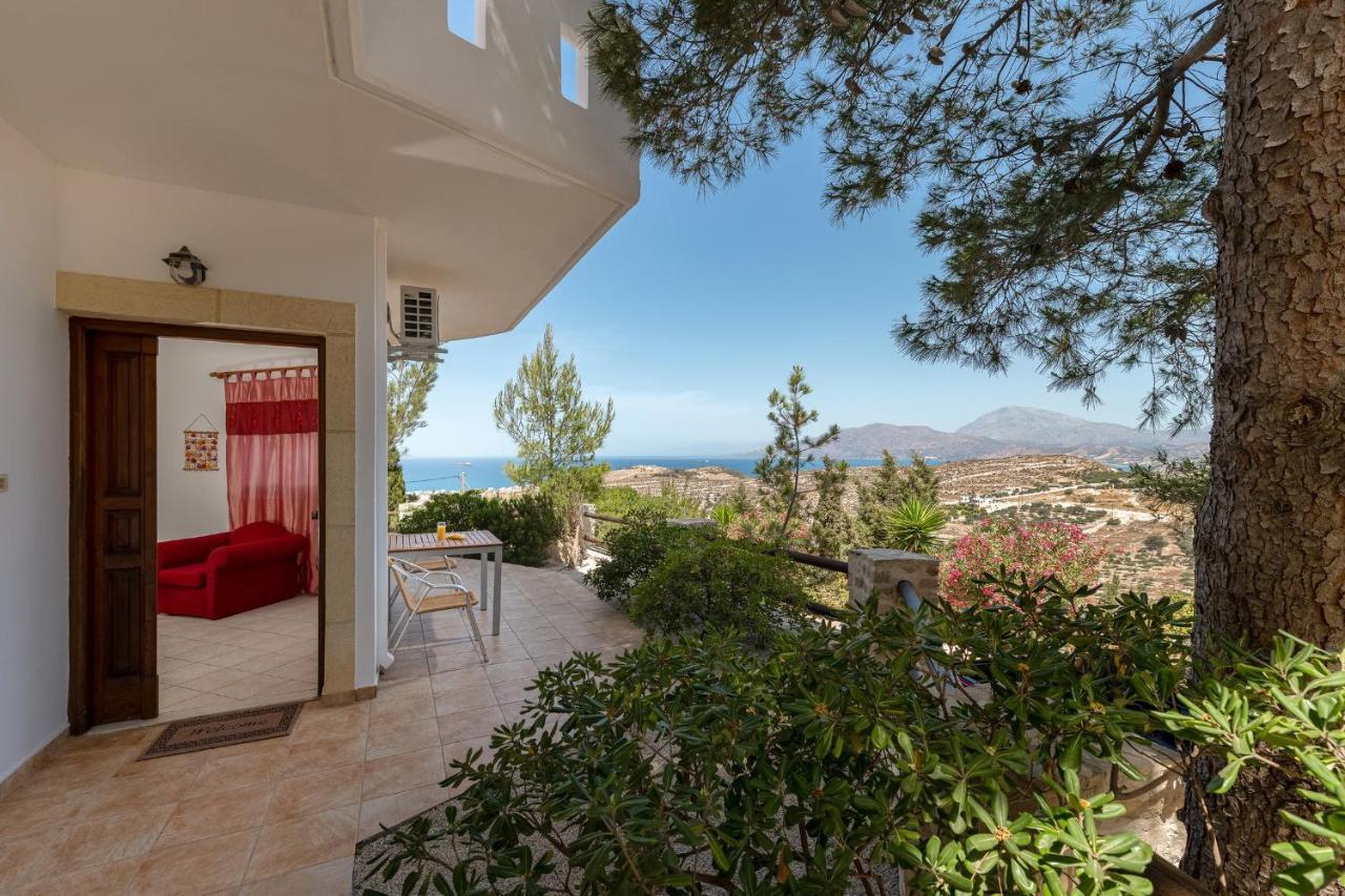 Alexandros Villa *