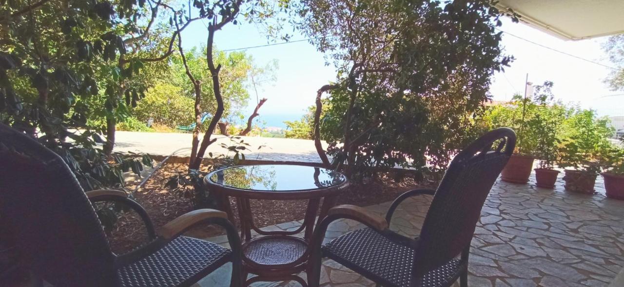 Spacious With Garden And Seaview Apartment Chios Town