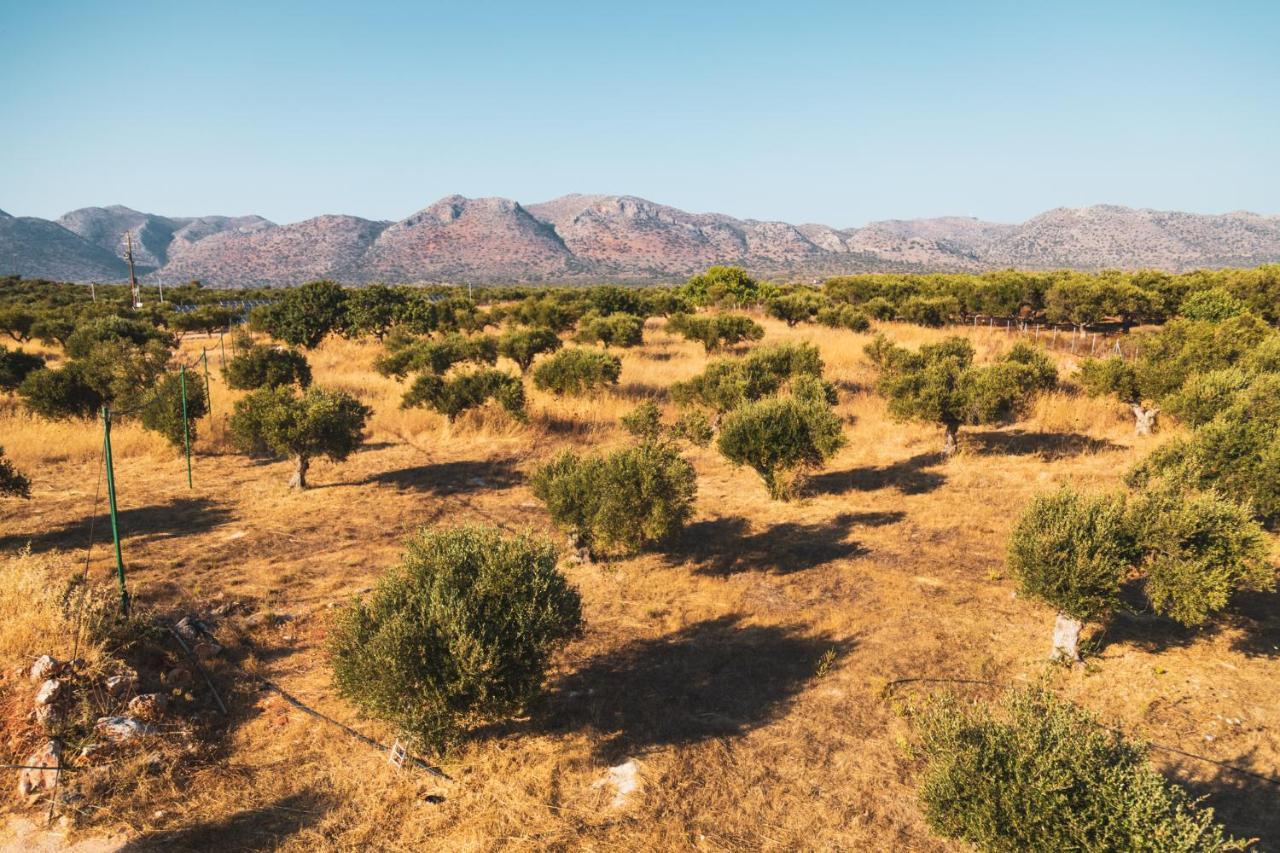 Villa Private, Quiet, Isolated In Chania / Homealone