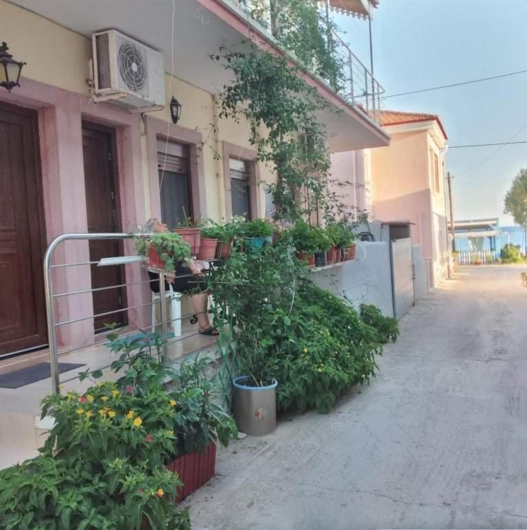 Ta Kalamakia Apartment *