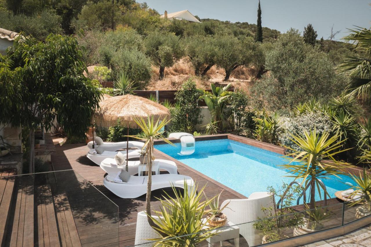 Villa Ark Luxury & Private