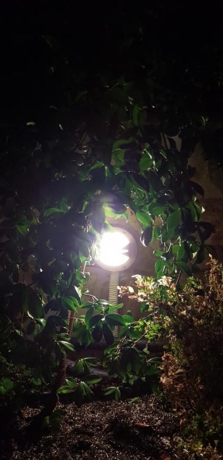 Apartment Grellia *