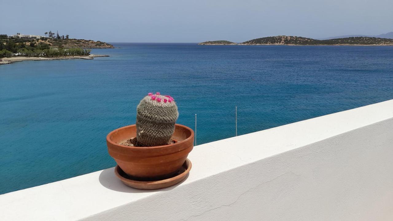 Apartment Aloe Seafront Terrace Agios Nikolaos (Crete)