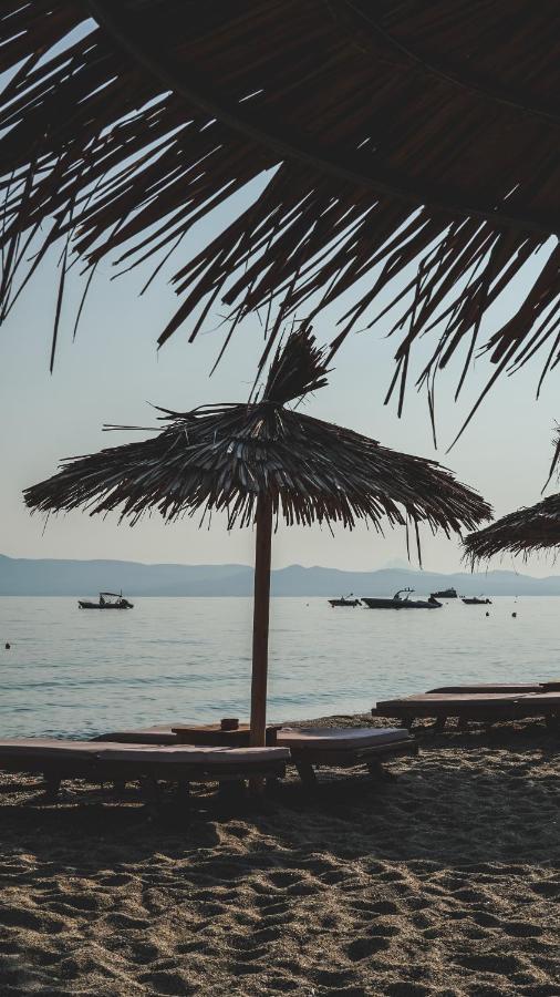 Iphigenia Apartment Pefkochori