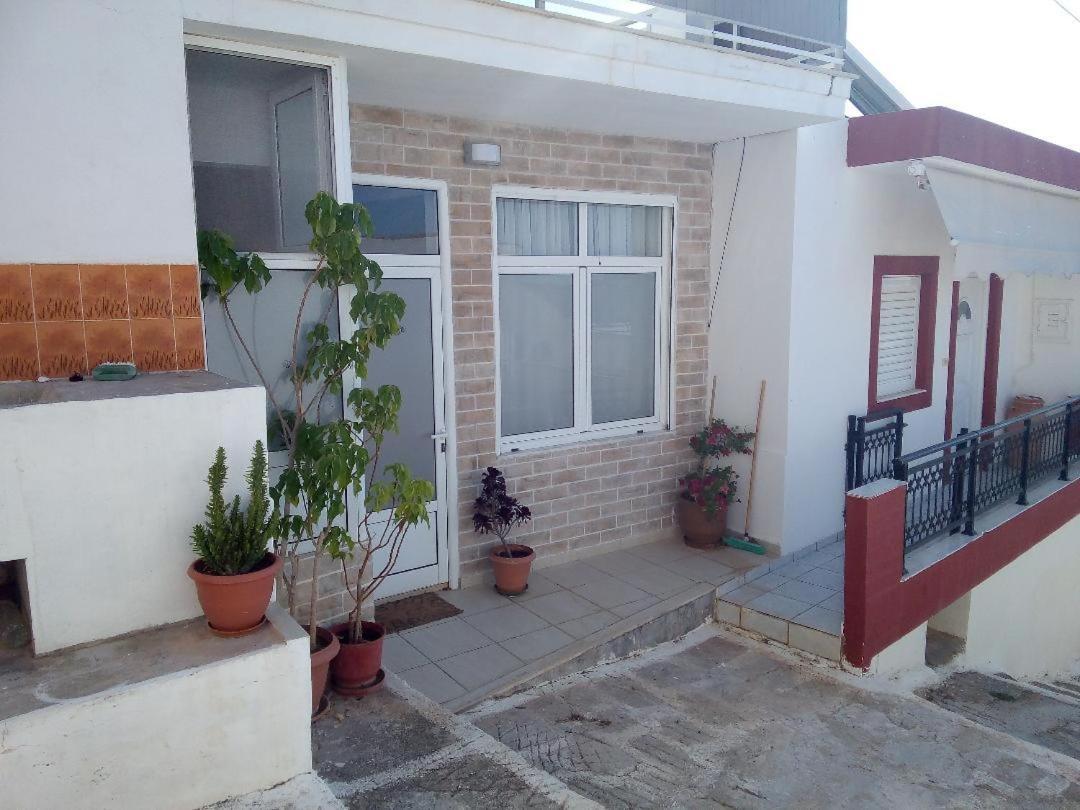 Sofia's House *
