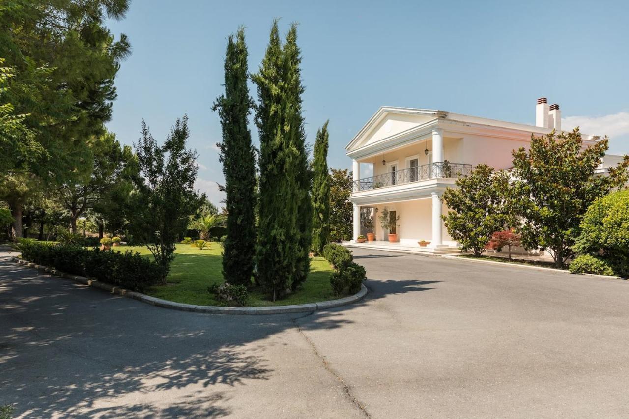 Elena Villa *