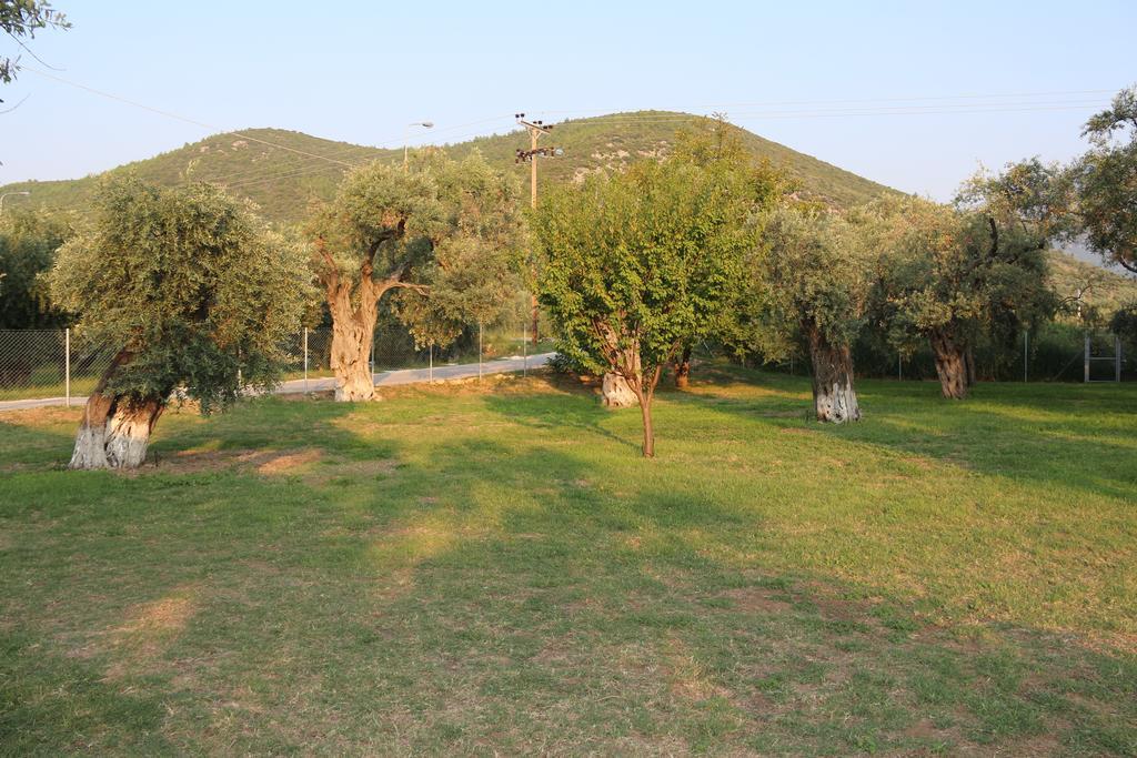 Patroudis House Apartment