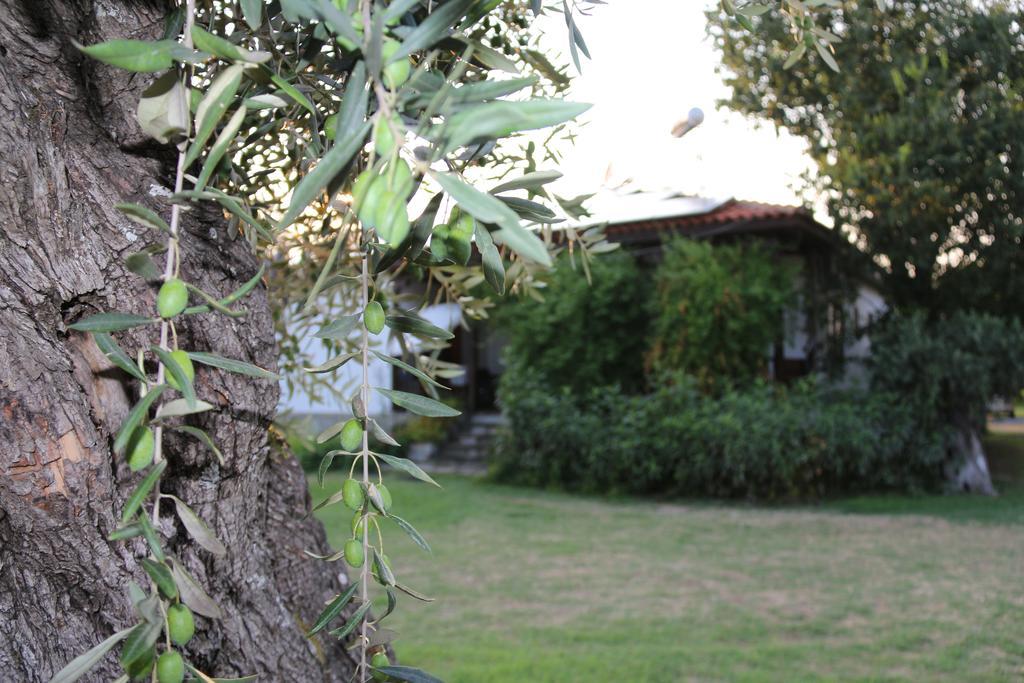 Apartment Patroudis House Skala Rachoni (Thasos)