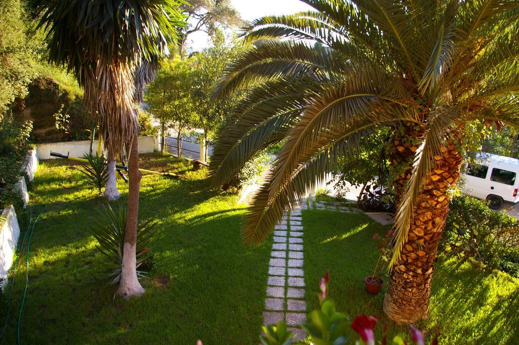 Aparthotel Angeliki