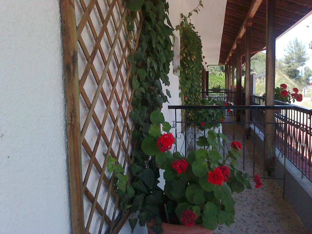 El Capitan Guest house *