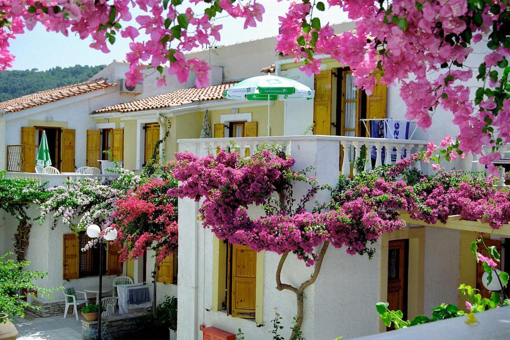 Olympia Village 3*
