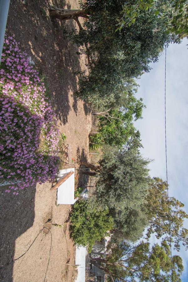 Apartment Grameno Kountoura Selino