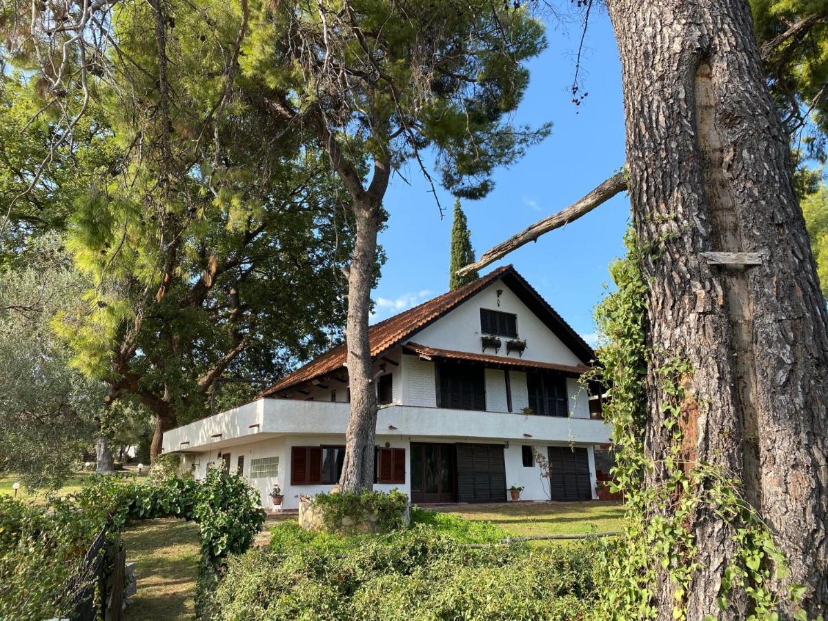 Wild Oaks Holiday home