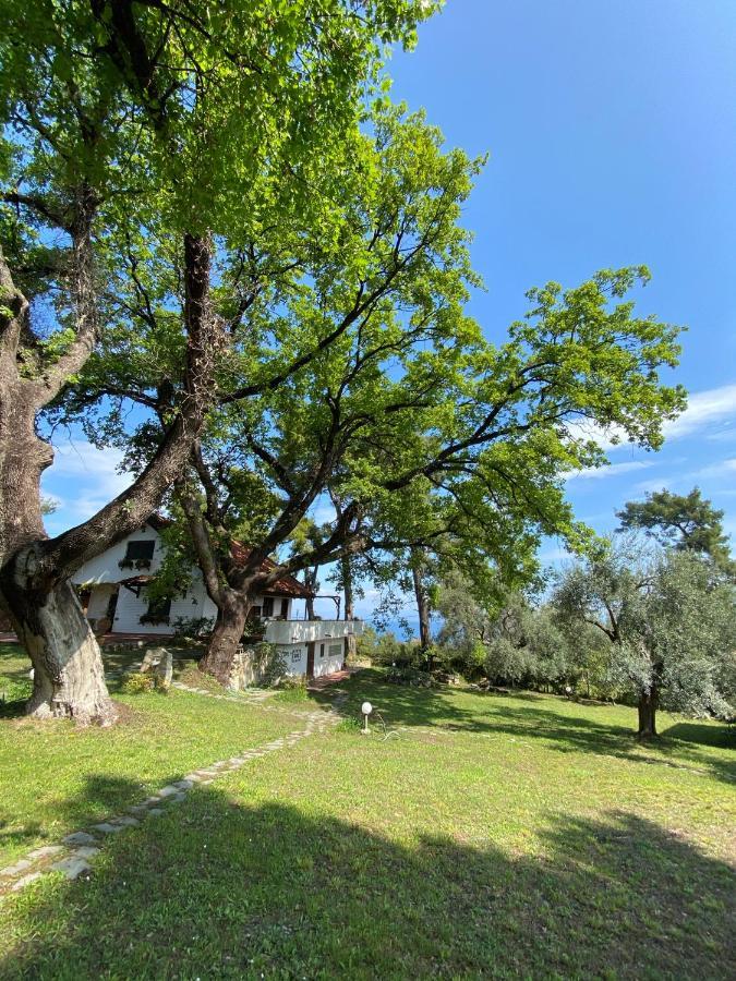 Wild Oaks *