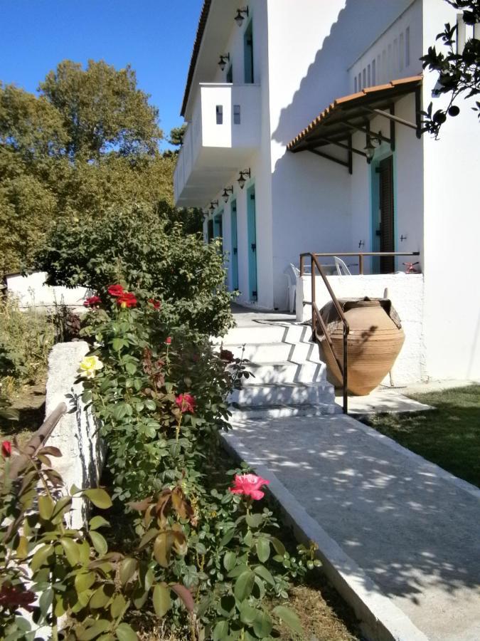 Matina's House