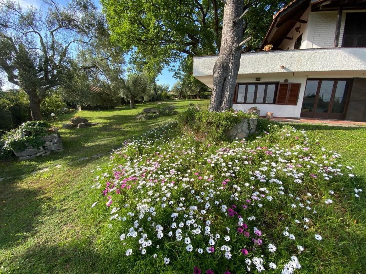 Wild Oaks Holiday home *