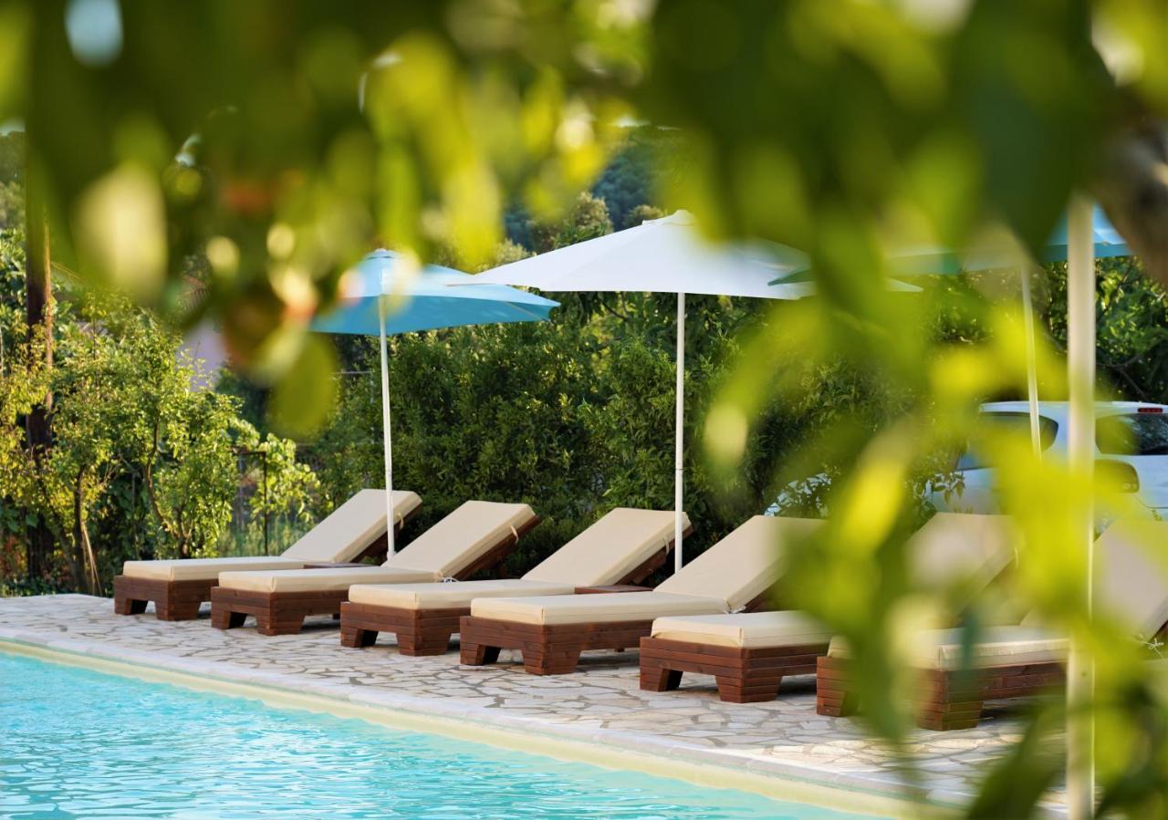 Apartment Apollo Parga