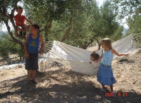 Kalivi Traditional Olive Farm Mytilinioi
