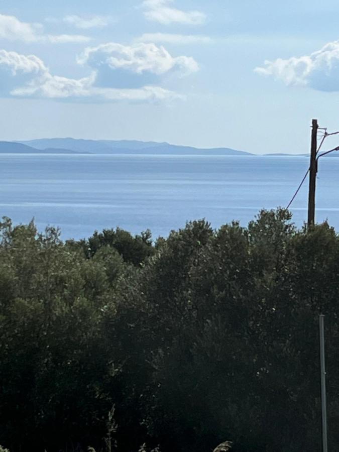 Christos Apartment Rafina (Attica)