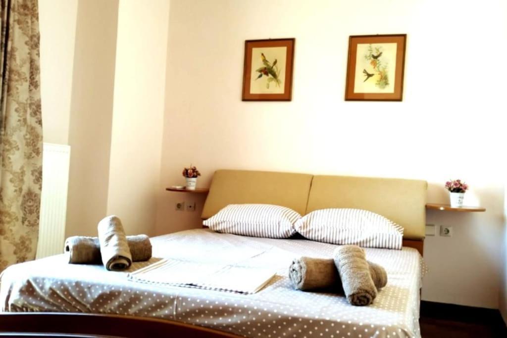 Apartment Carte-postale