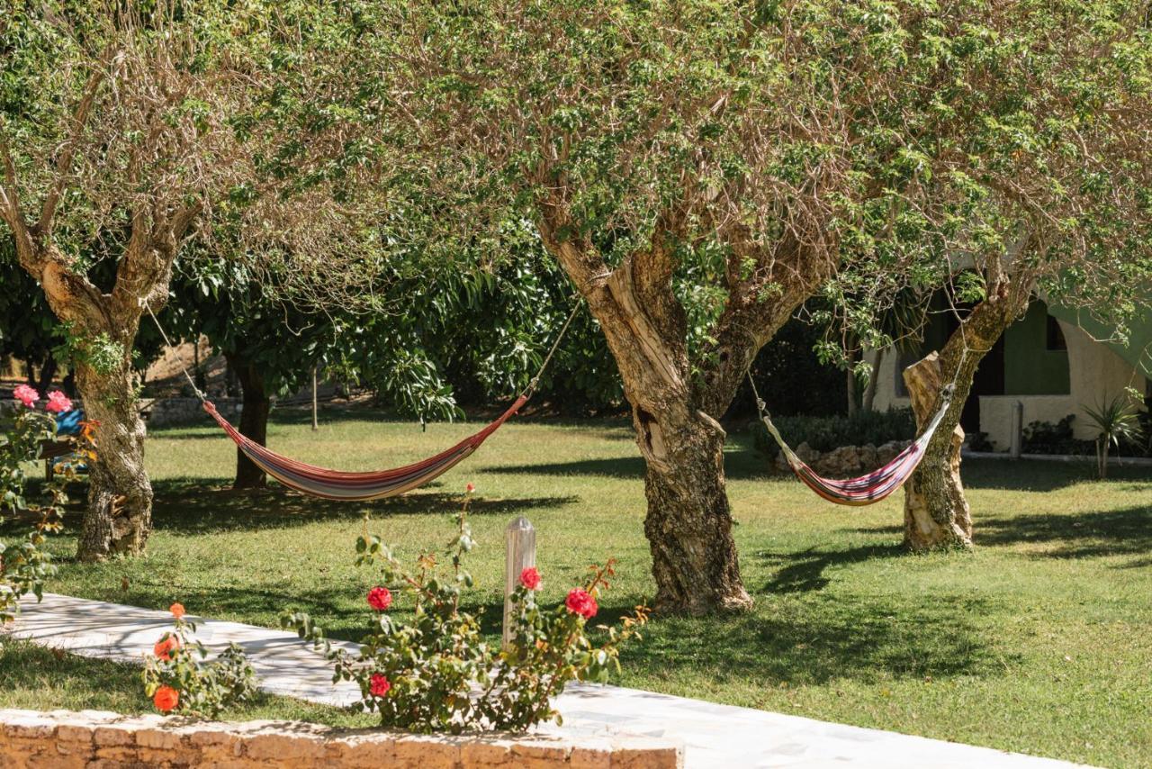 Hotel Idi Zaros