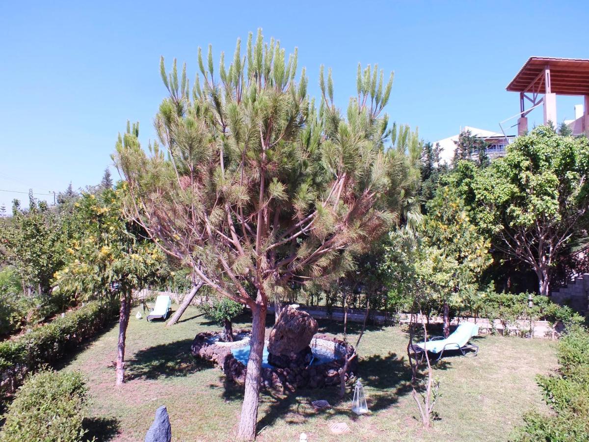 Aphrodite View Apartment