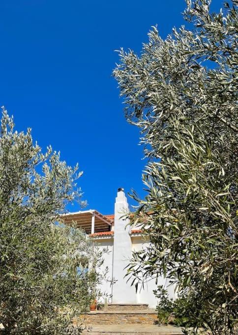 Villa Gorgeous Private With Sea View! Batsi (Andros)