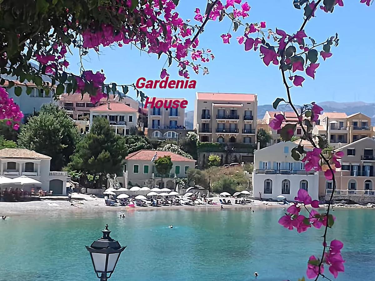 Gardenia House Asos