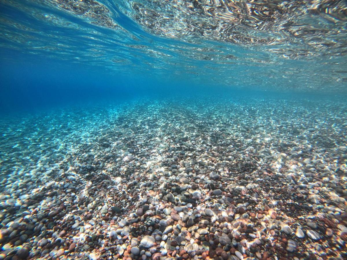 Ktima Tzaneti - Coastal * Lachania (Rhodes)