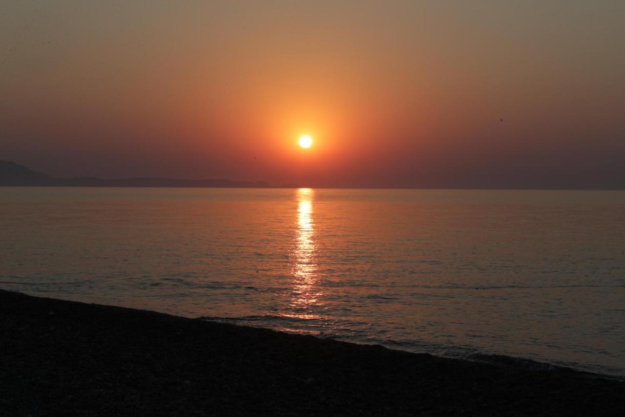 Ktima Tzaneti - Coastal Lachania (Rhodes)