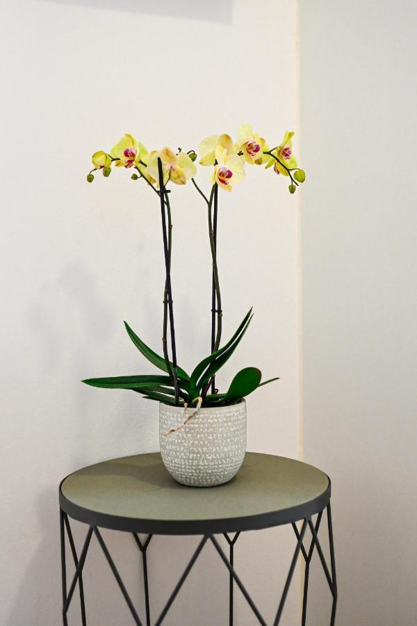 Apartment Summer Dream Luxury Drios