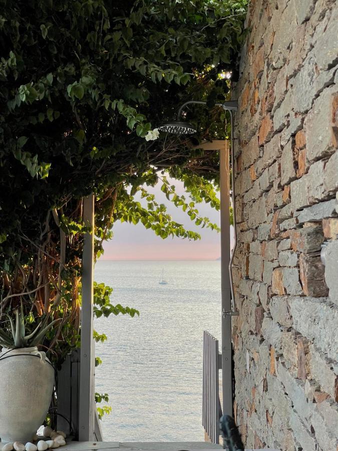 Villa Waterfront 