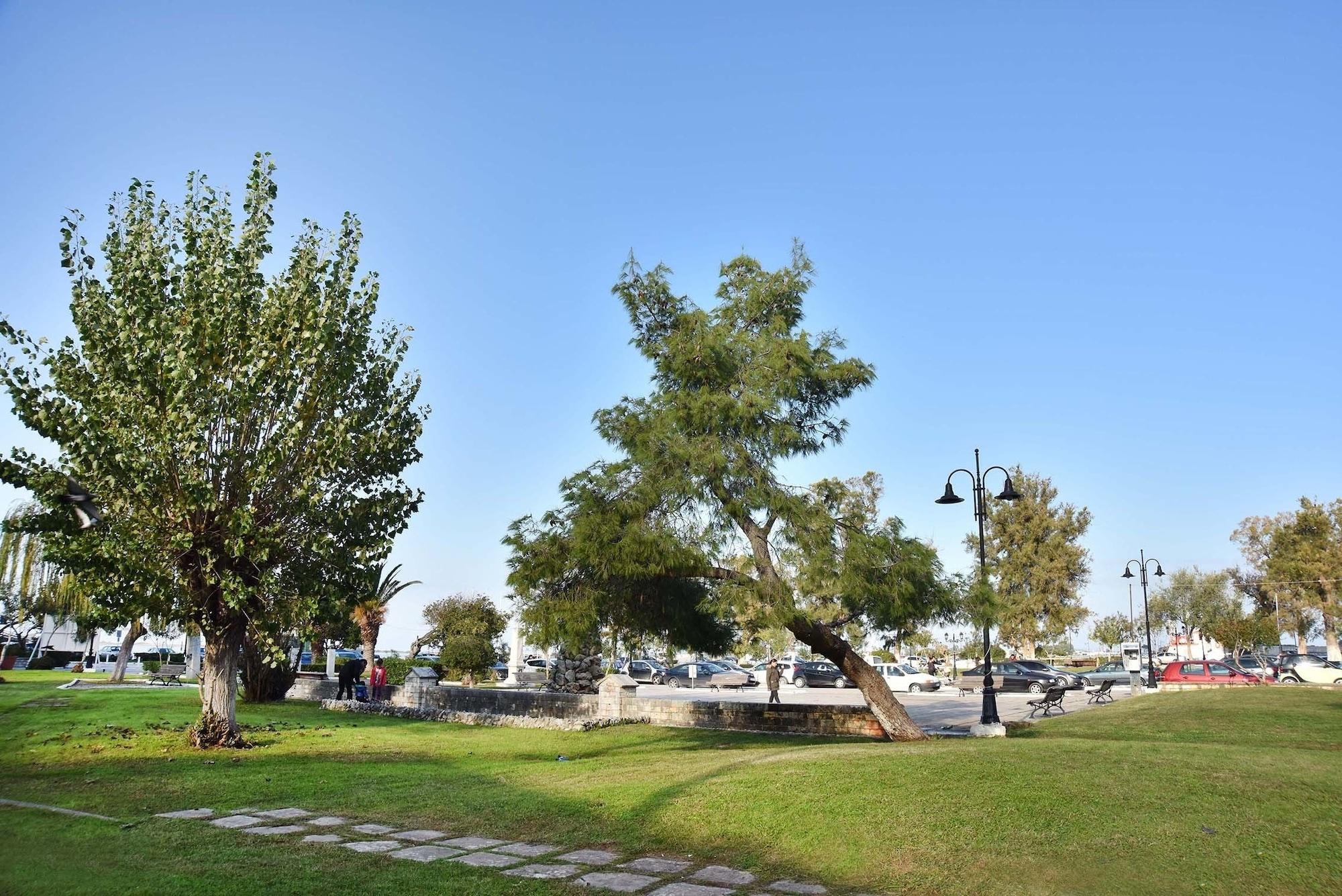 Hotel Ionion Star 4*