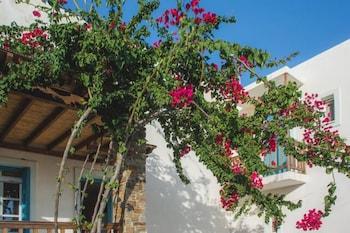 Andros Maisonettes