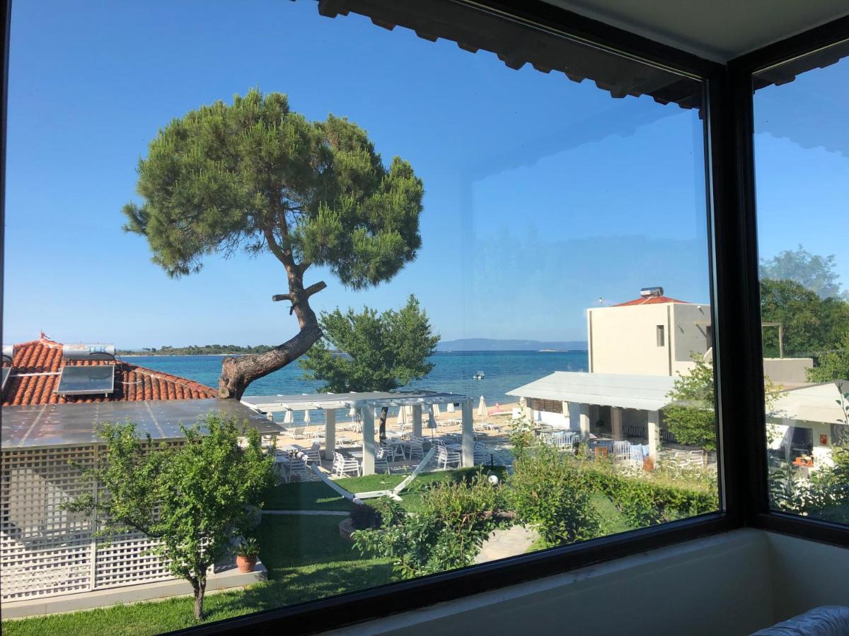 Apartment Zinozis Vourvourou