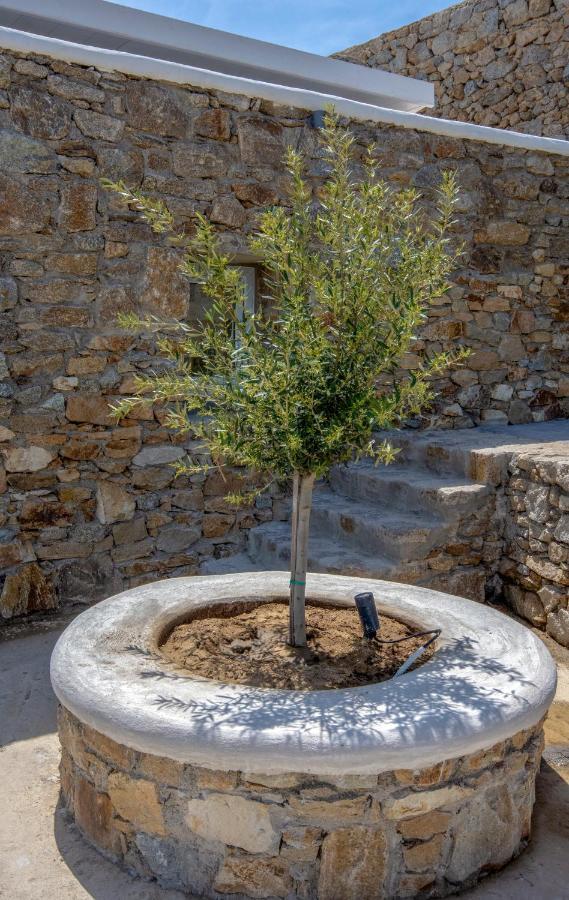Artemis Mykonos Town