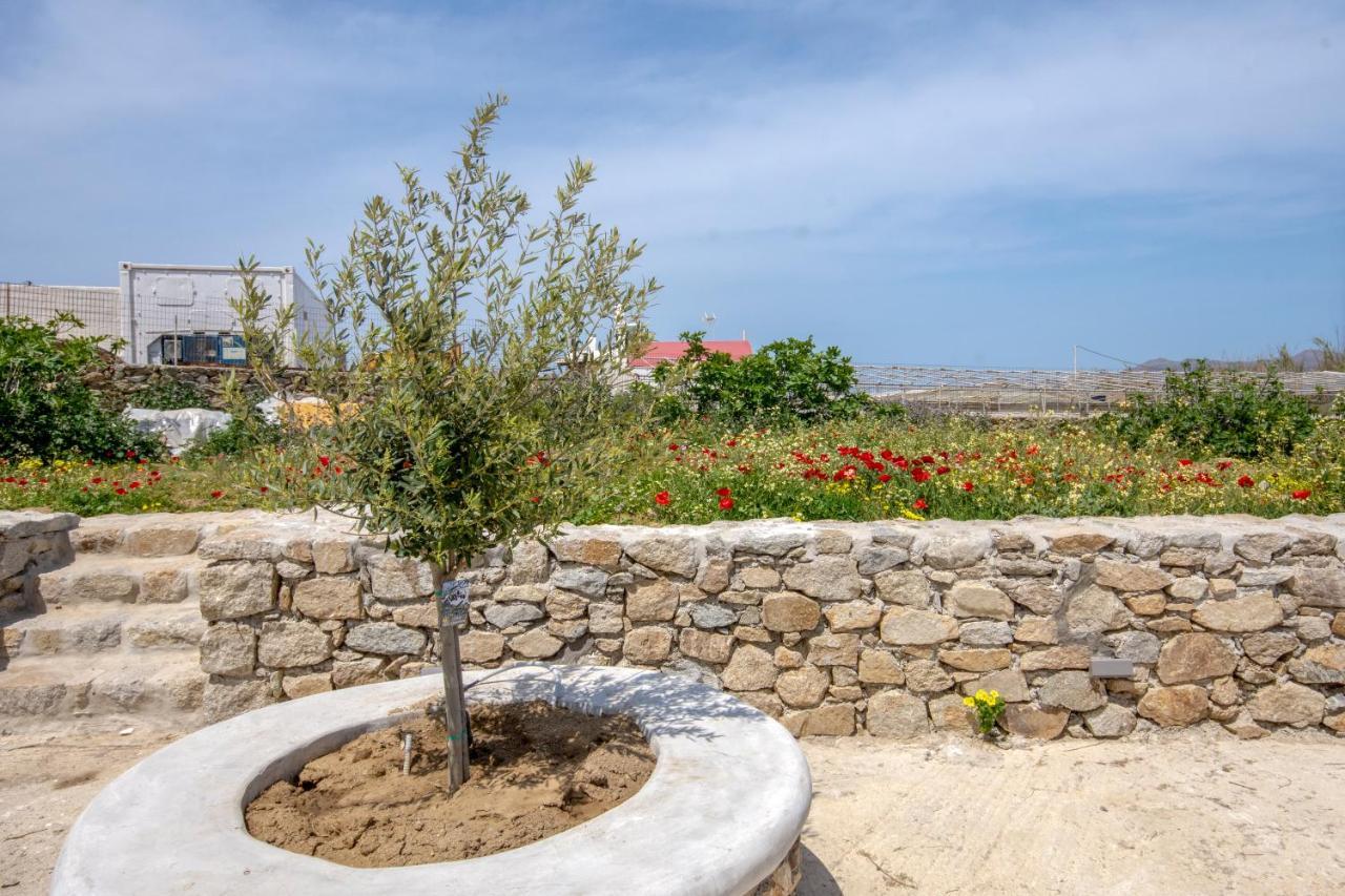 Artemis Villa