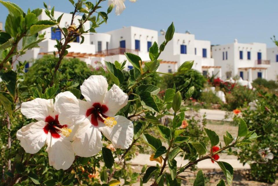 Niriedes Villas Villa *