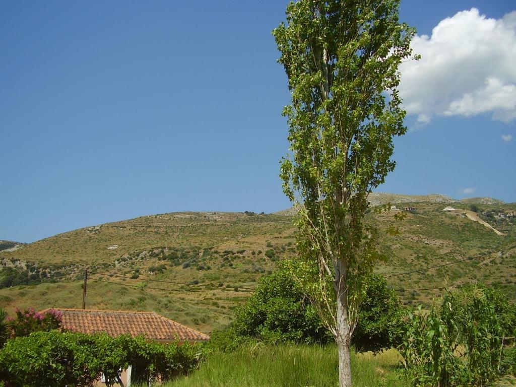 Apartment Pantelios Village Katelios