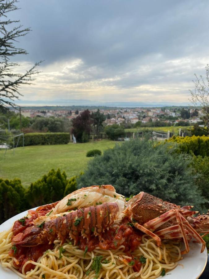 E L Urban Villa. Villa