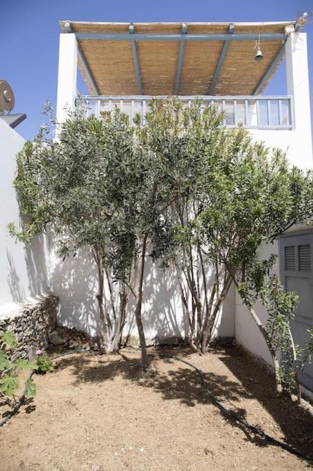 Beachfront 2br - Free Parking Apartment