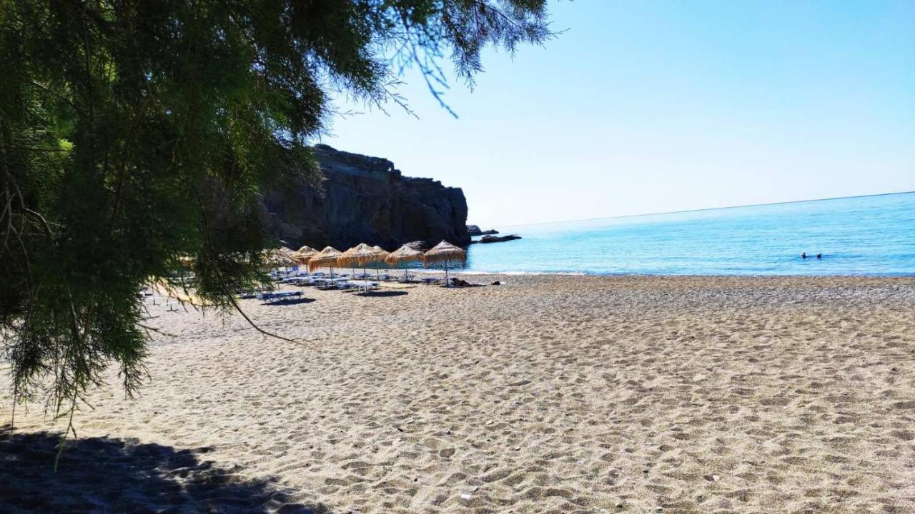 Blue Paradise