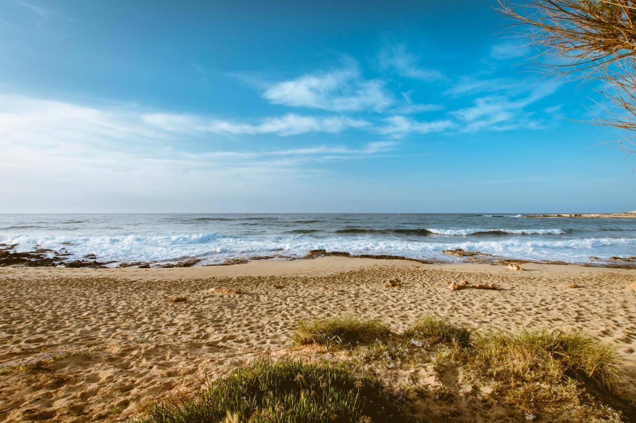 Coastal 1 *