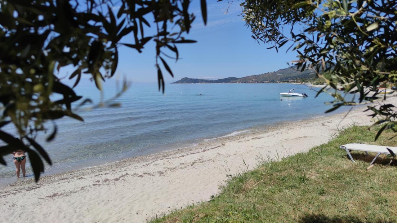 Anemi 50m From The Sea Holiday home *