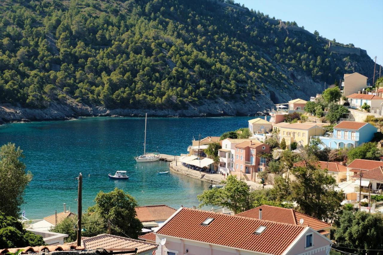 Remvi Assos *