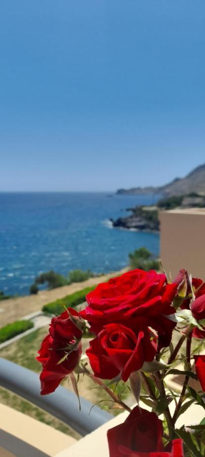 Creta Spirit Apartment