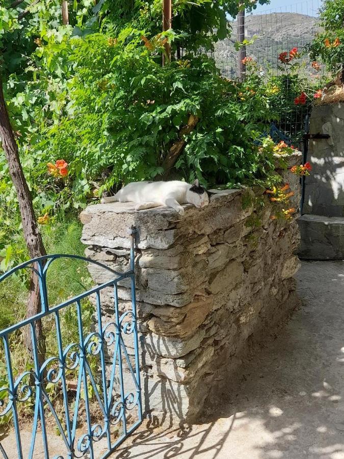 Casa Di Patouria , Stenies Andros