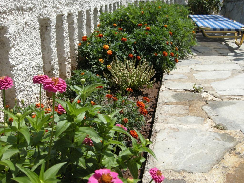 Alkioni Apartment Karlovassi